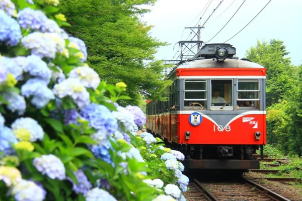 Hakone Tozan Railway