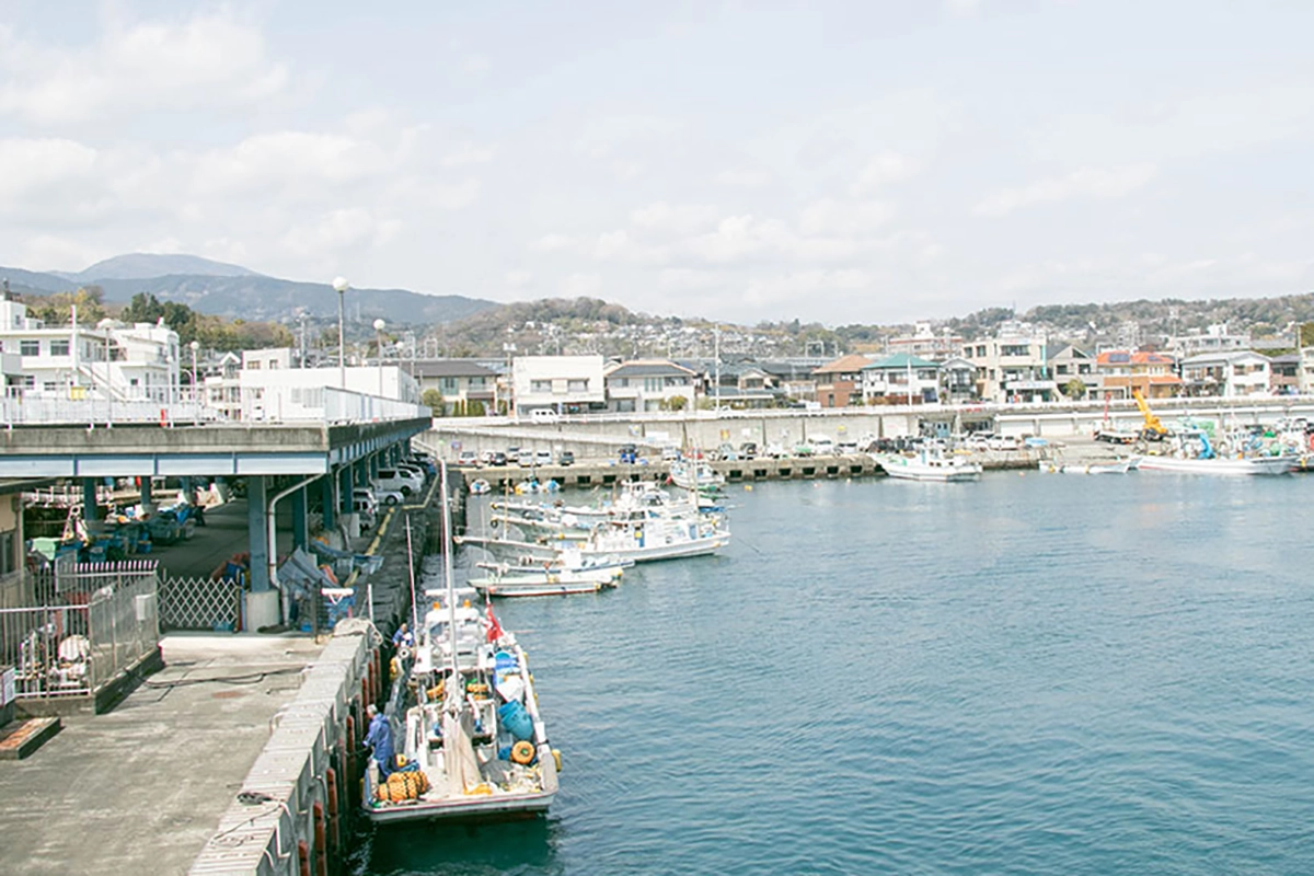 Odawara Harbor's Morning Market