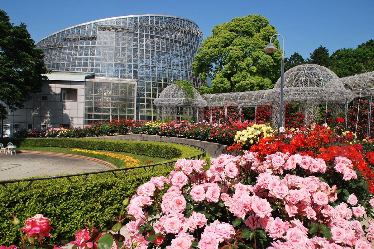 Odawara Flower Garden