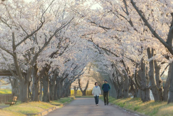 Hanami